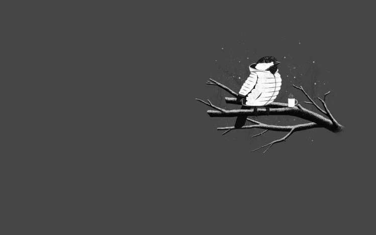 minimalism gray birds cold branch HD Wallpaper Desktop Background