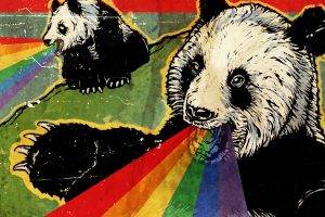 rainbows panda
