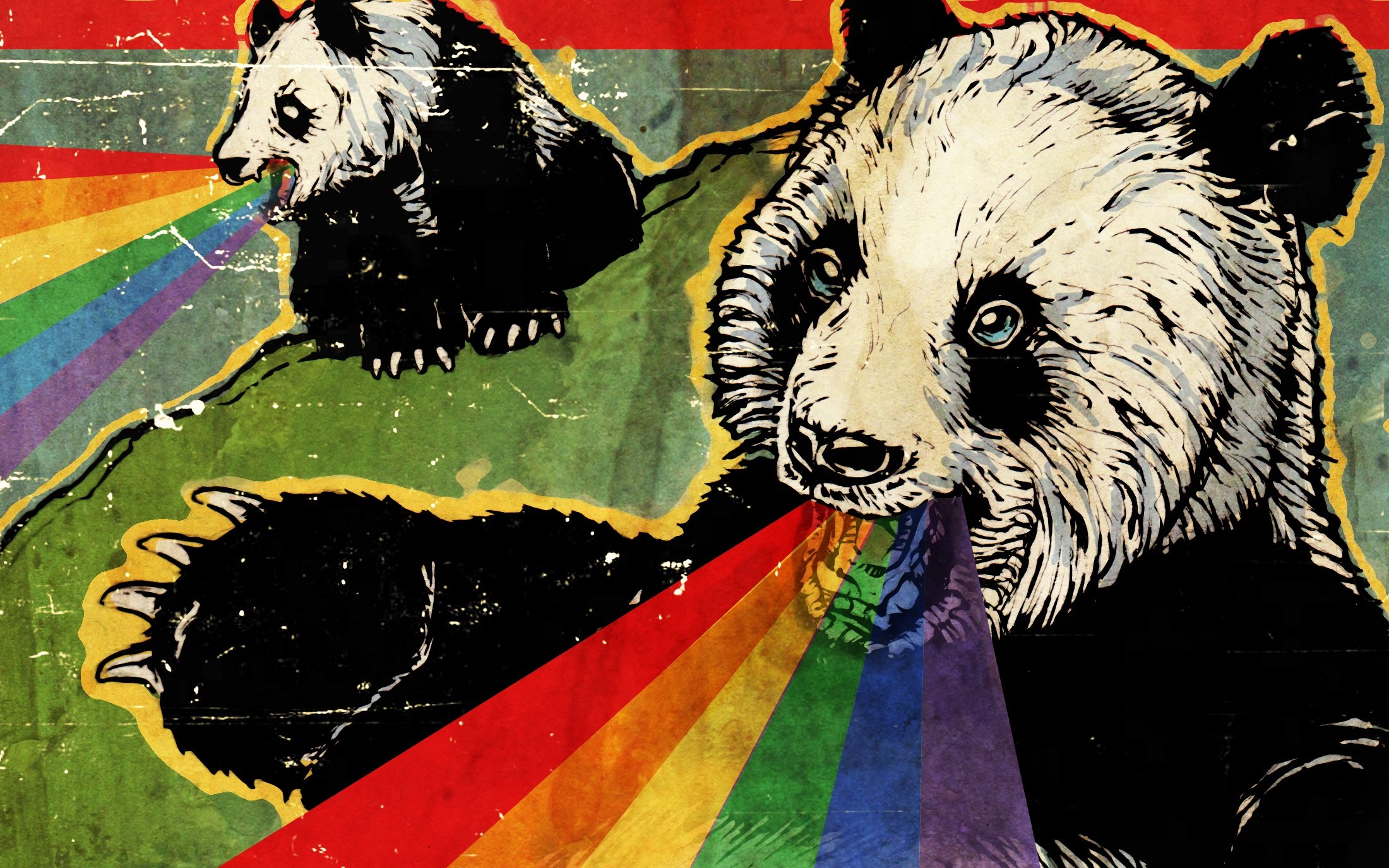 rainbows panda Wallpaper
