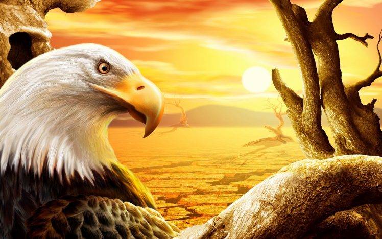 eagle birds HD Wallpaper Desktop Background