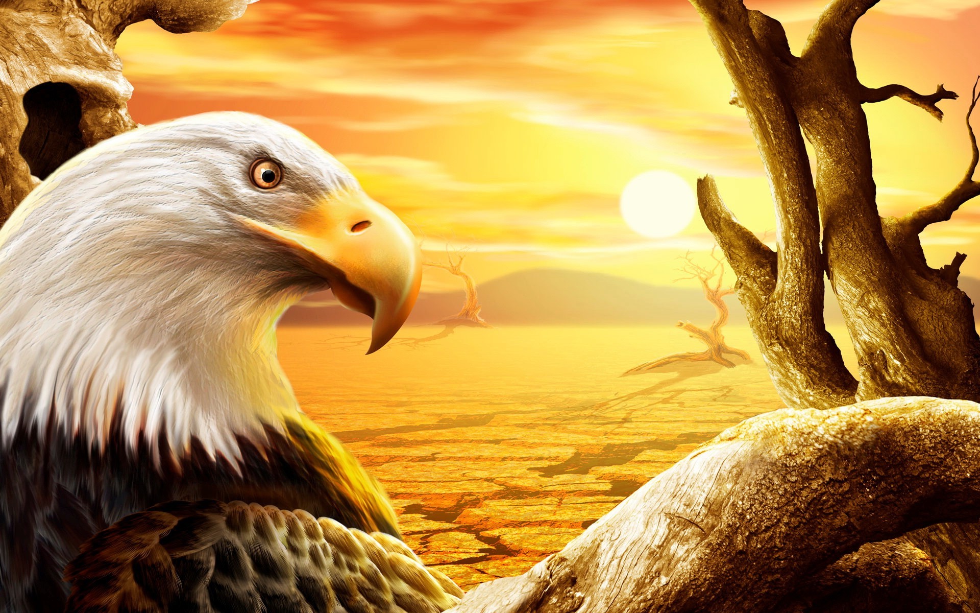 eagle birds Wallpaper