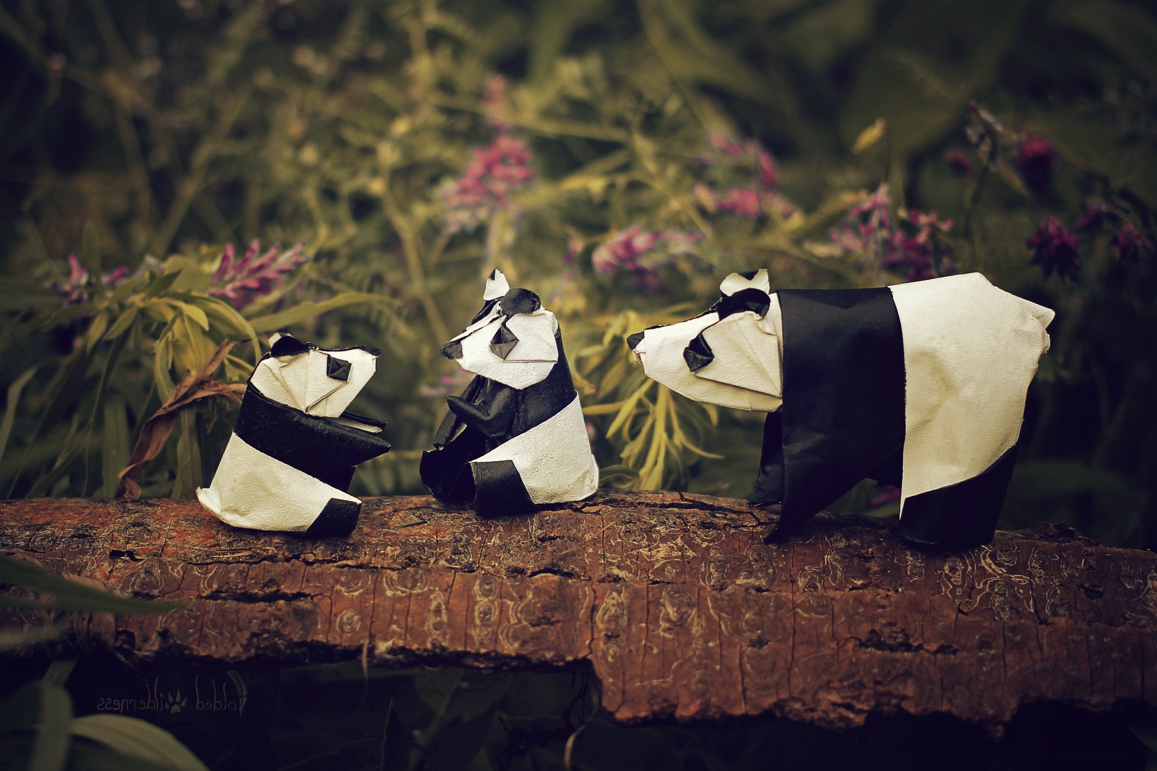 origami paper panda Wallpaper