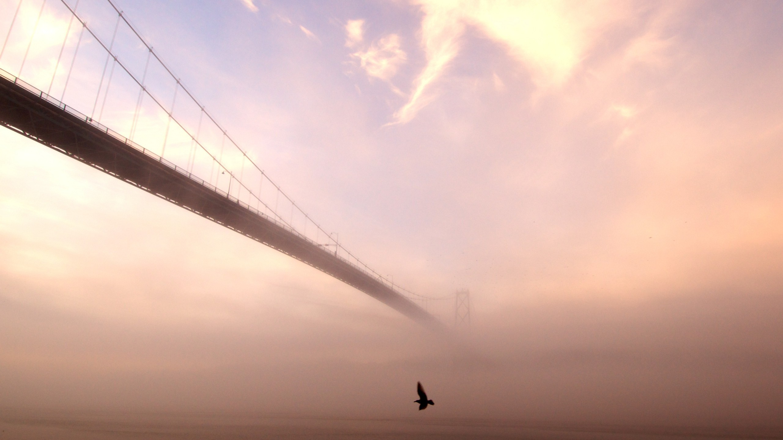 bridge mist birds Wallpaper