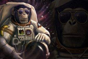 monkeys space