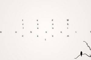 writing text birds simple simple background minimalism