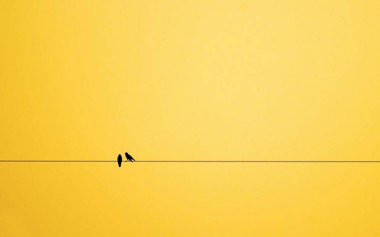 minimalism birds HD Wallpaper Desktop Background