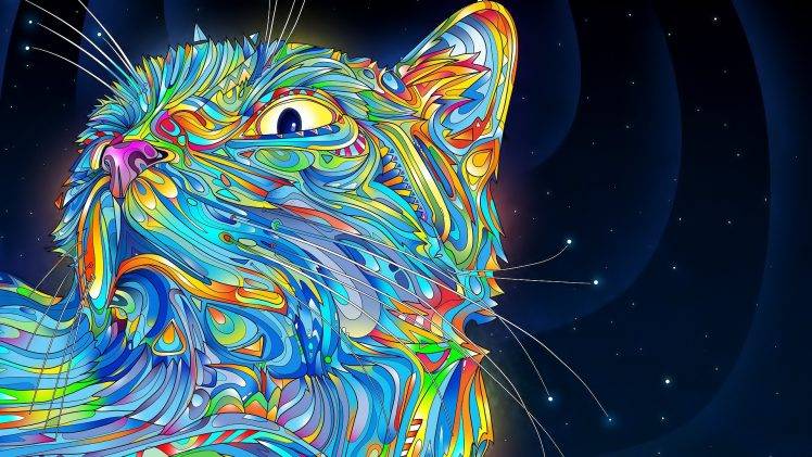 cat HD Wallpaper Desktop Background