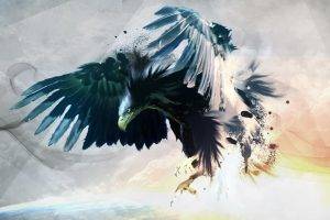 eagle birds artwork paint splatter