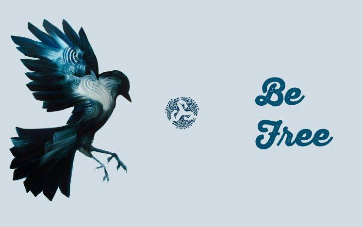 freedom planet free birds bird of prey HD Wallpaper Desktop Background