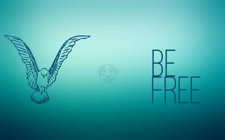 free birds colibri bird freedom HD Wallpaper Desktop Background