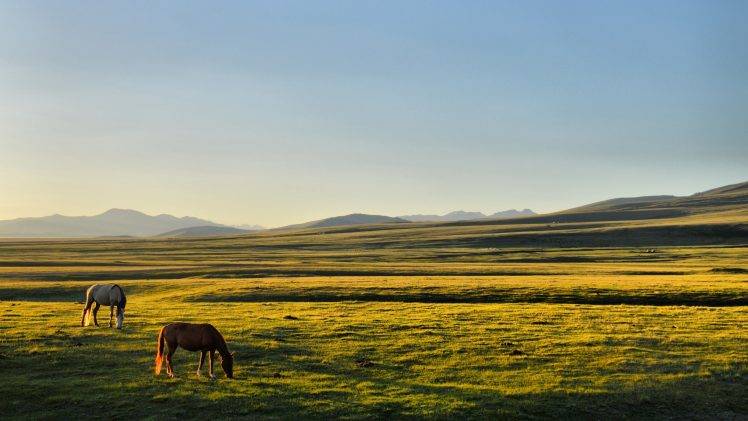horse kyrgyzstan song kul plains HD Wallpaper Desktop Background