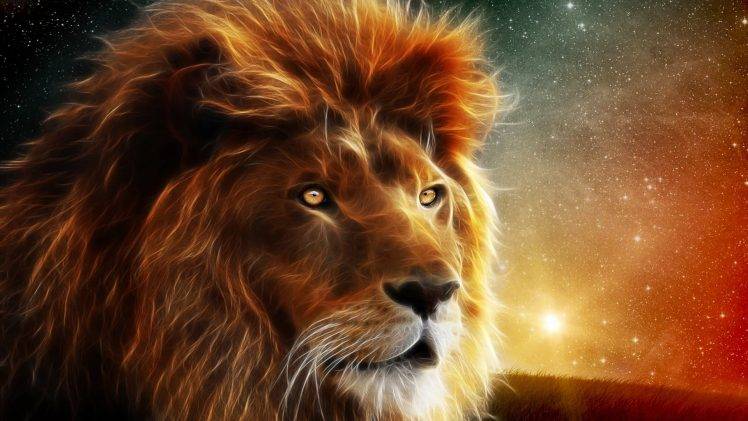 lion stars HD Wallpaper Desktop Background