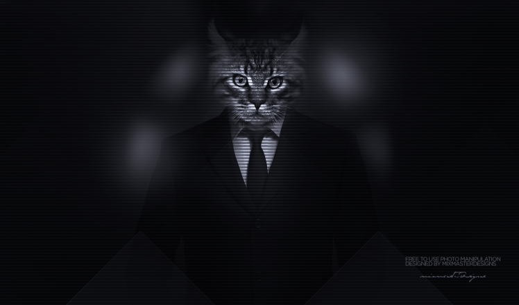 kitty men classy cat big cats majestic casual channel photo manipulation suits HD Wallpaper Desktop Background