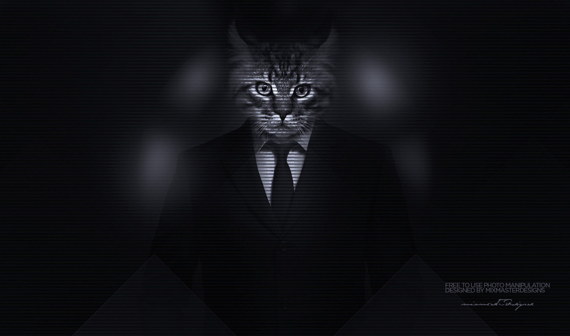 kitty men classy cat big cats majestic casual channel photo manipulation suits Wallpaper