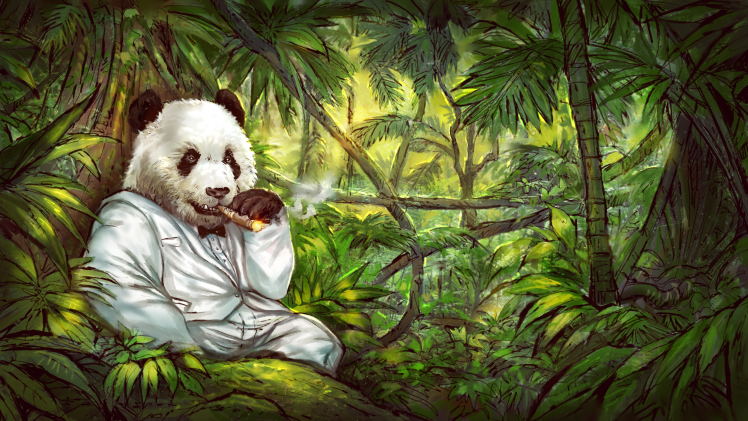 panda jungles cigars tuxedo HD Wallpaper Desktop Background