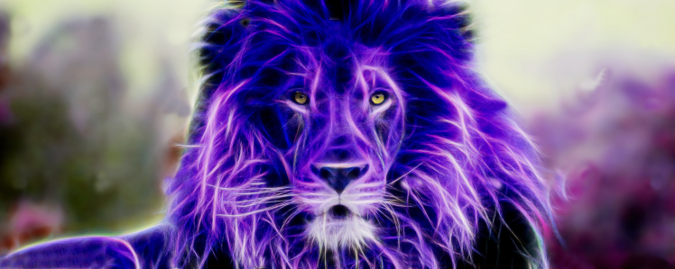 lion colorful fractalius HD Wallpaper Desktop Background