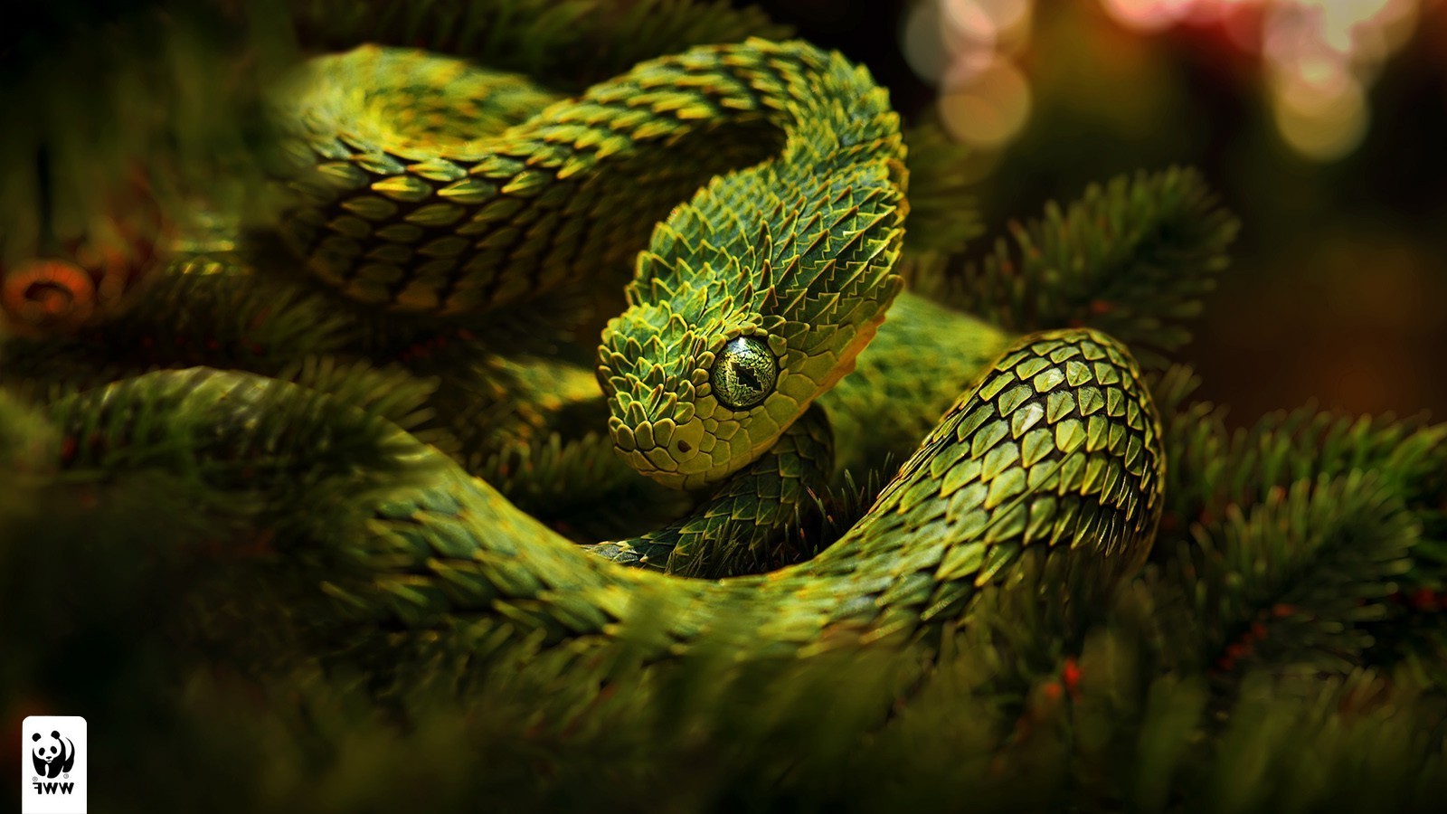 snake green lizard scales Wallpapers HD / Desktop and