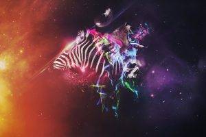 photoshop animals colorful zebras