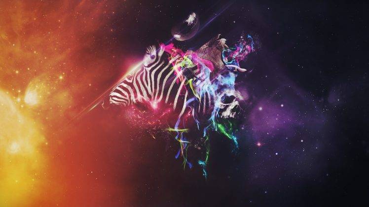 photoshop animals colorful zebras HD Wallpaper Desktop Background