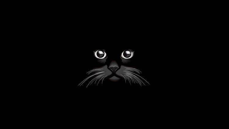cat minimalism black HD Wallpaper Desktop Background