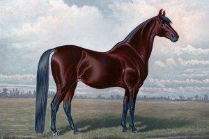 horse equine animals vintage painting brown