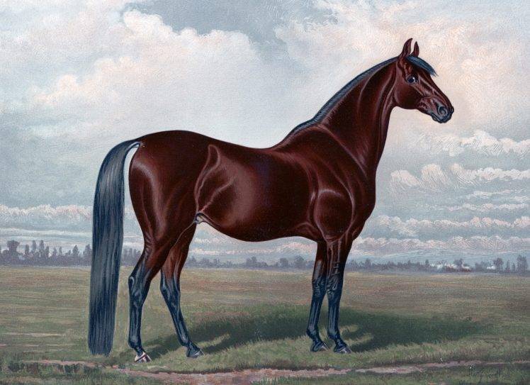 horse equine animals vintage painting brown HD Wallpaper Desktop Background