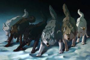 animals wolf