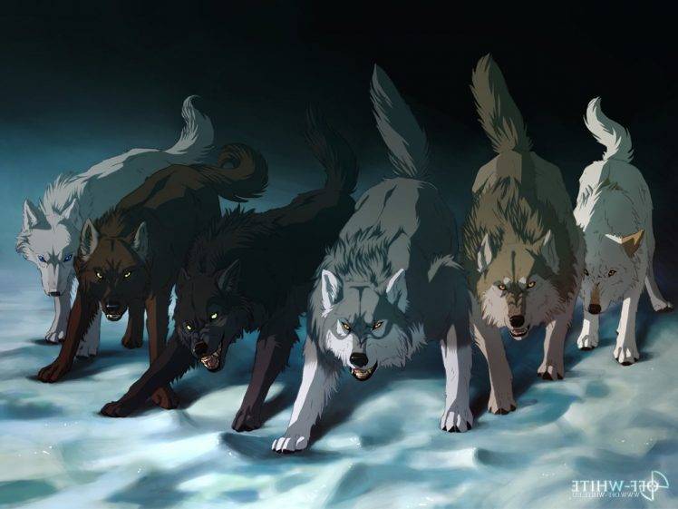 animals wolf HD Wallpaper Desktop Background