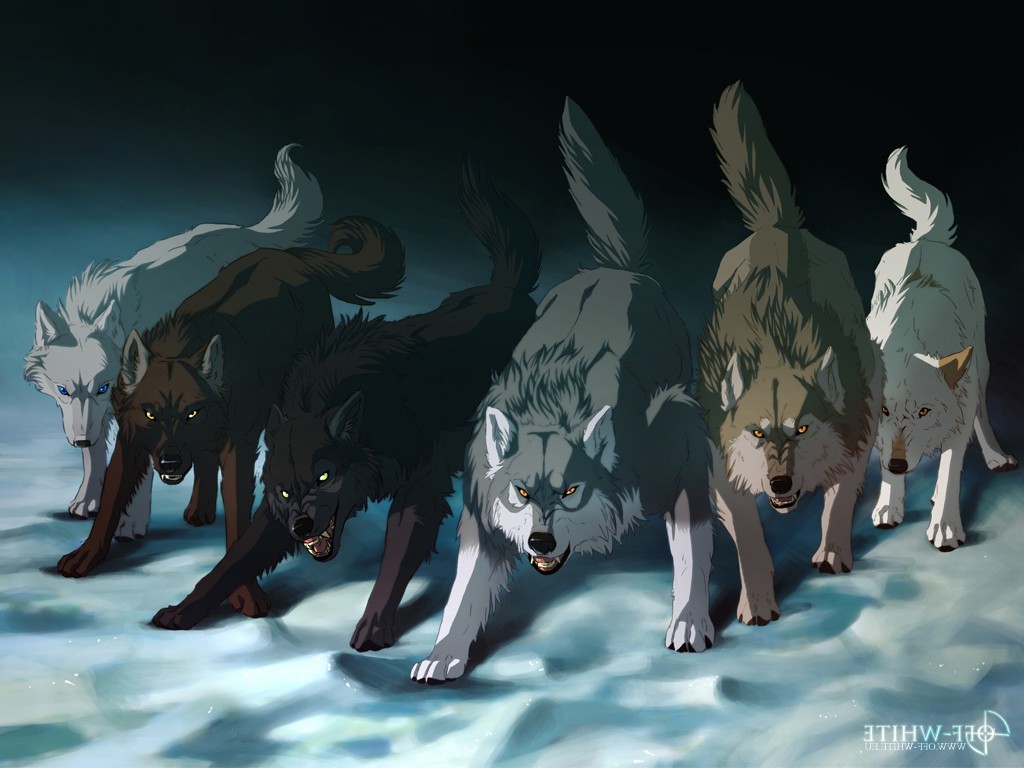 animals wolf Wallpaper