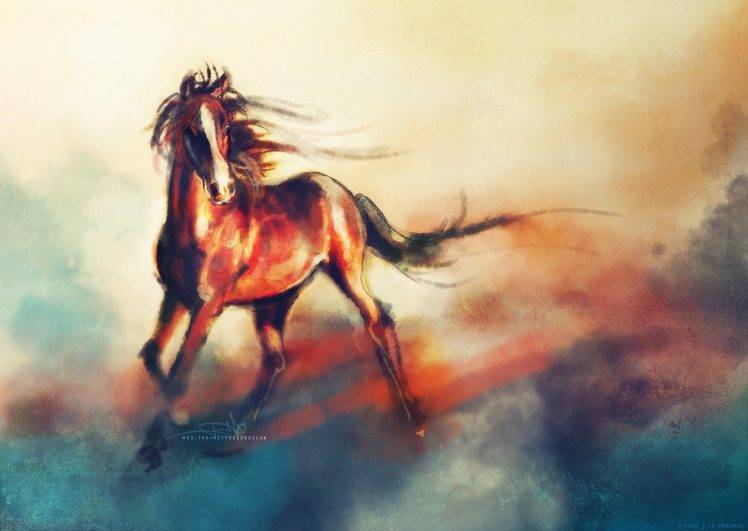 animals horse HD Wallpaper Desktop Background