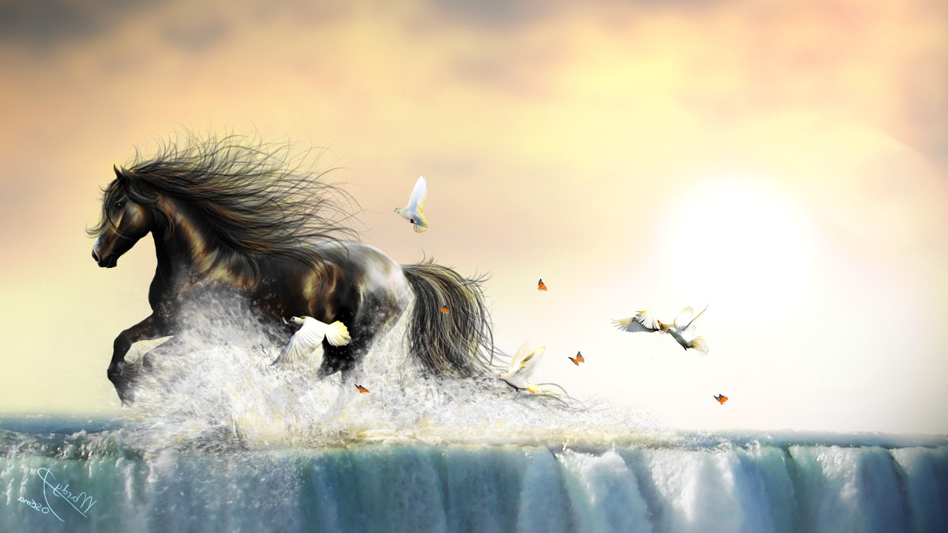 water birds insect butterfly animals horse waterfall doves Wallpaper