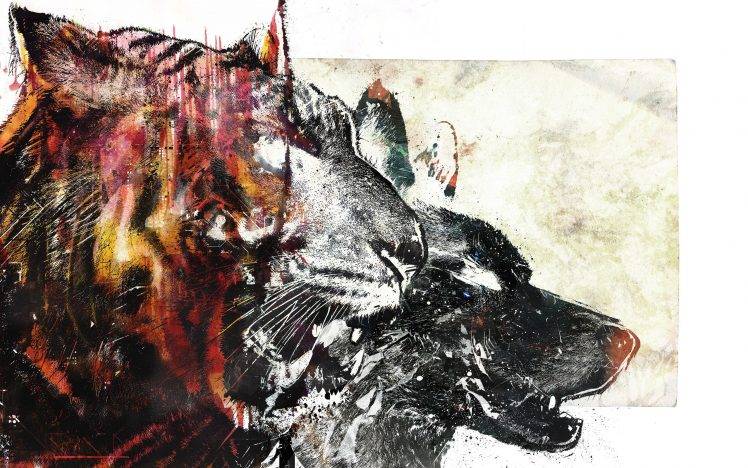 wolf tiger animals HD Wallpaper Desktop Background
