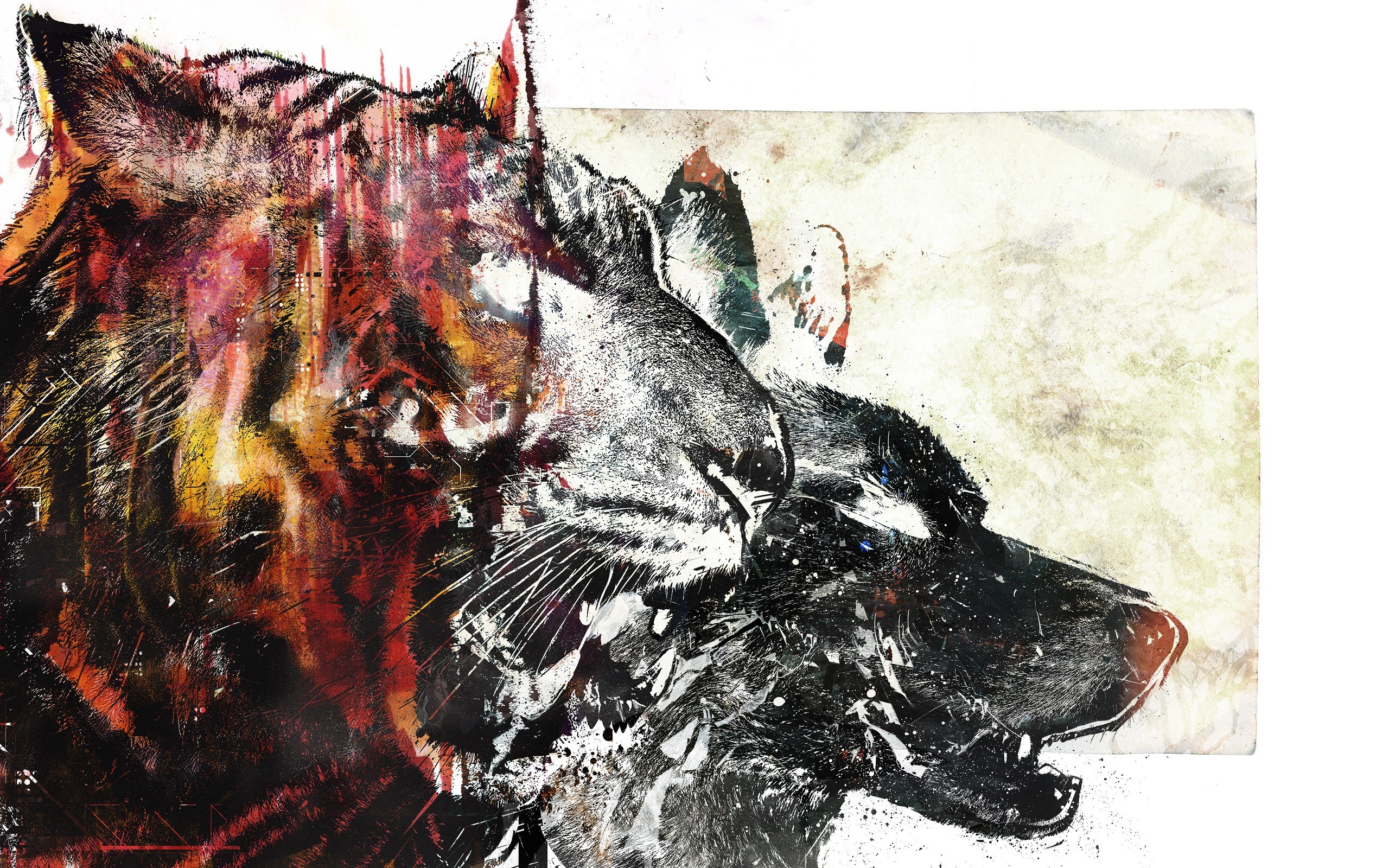 wolf tiger animals Wallpaper