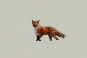 fox double exposure animals