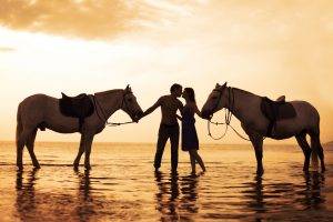 couple horse water sunset kissing love sea