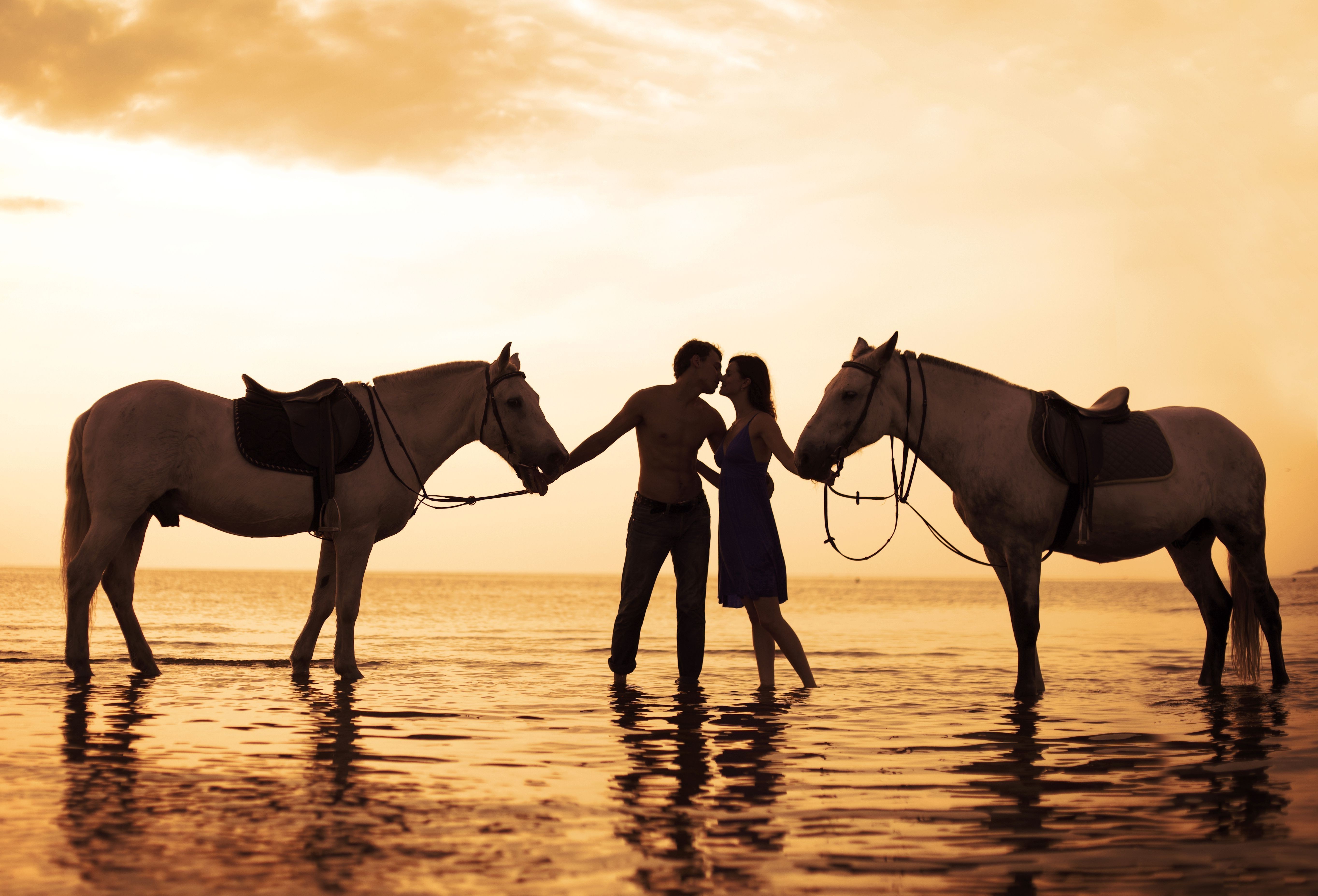 couple horse water sunset kissing love sea Wallpaper