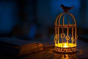 birds animals candles cages books