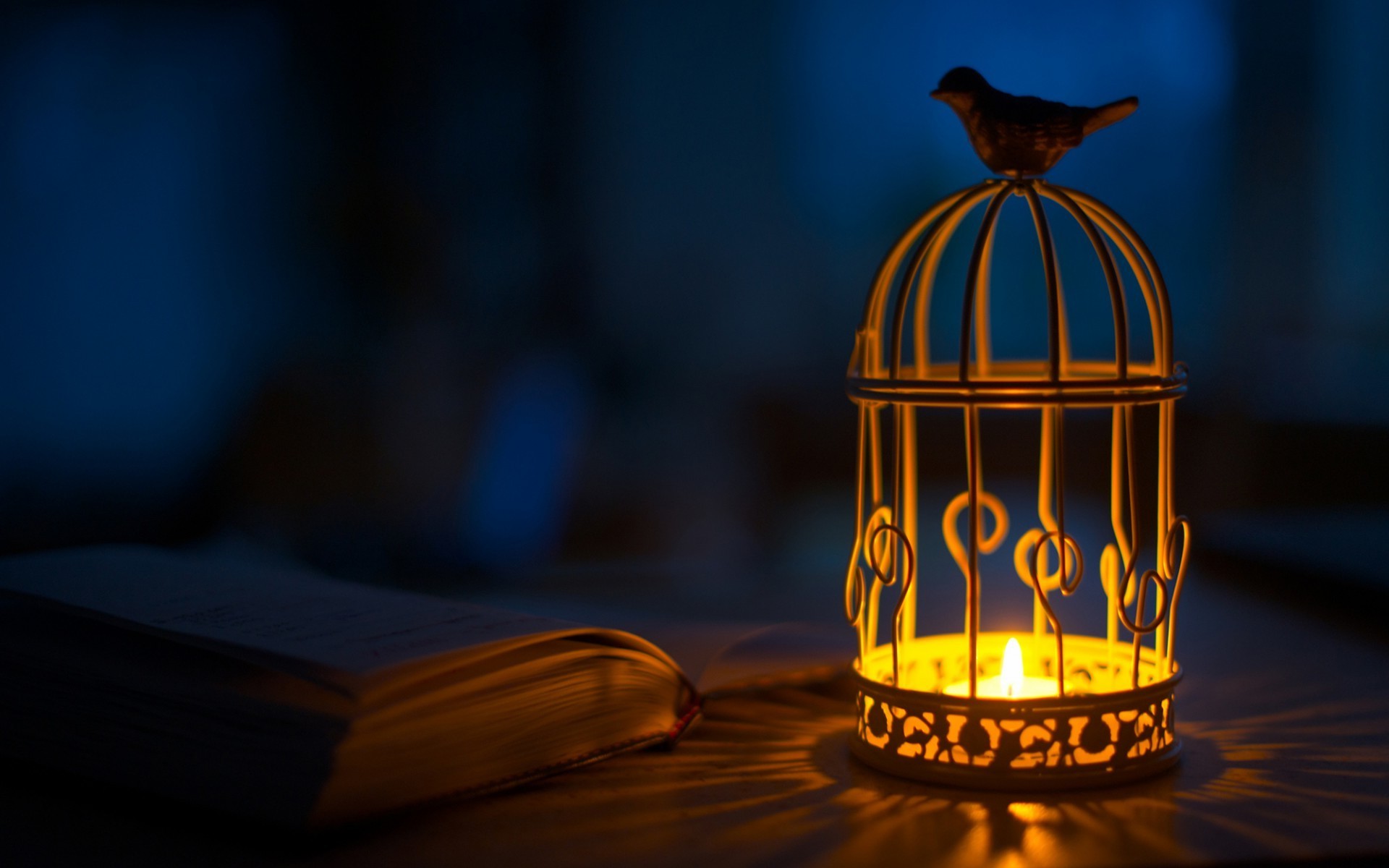 birds animals candles cages books Wallpaper