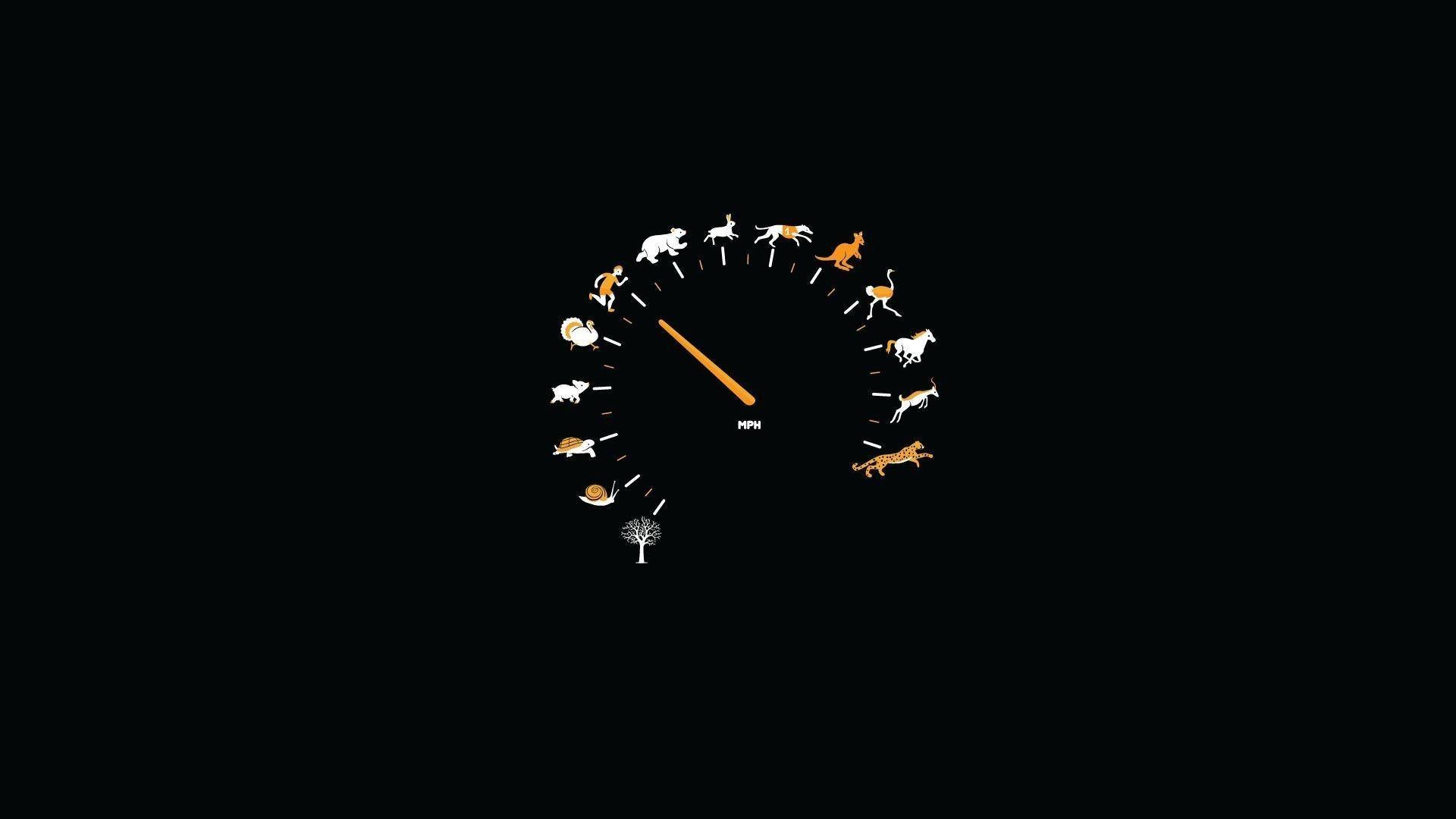 minimalism speedometer animals Wallpaper