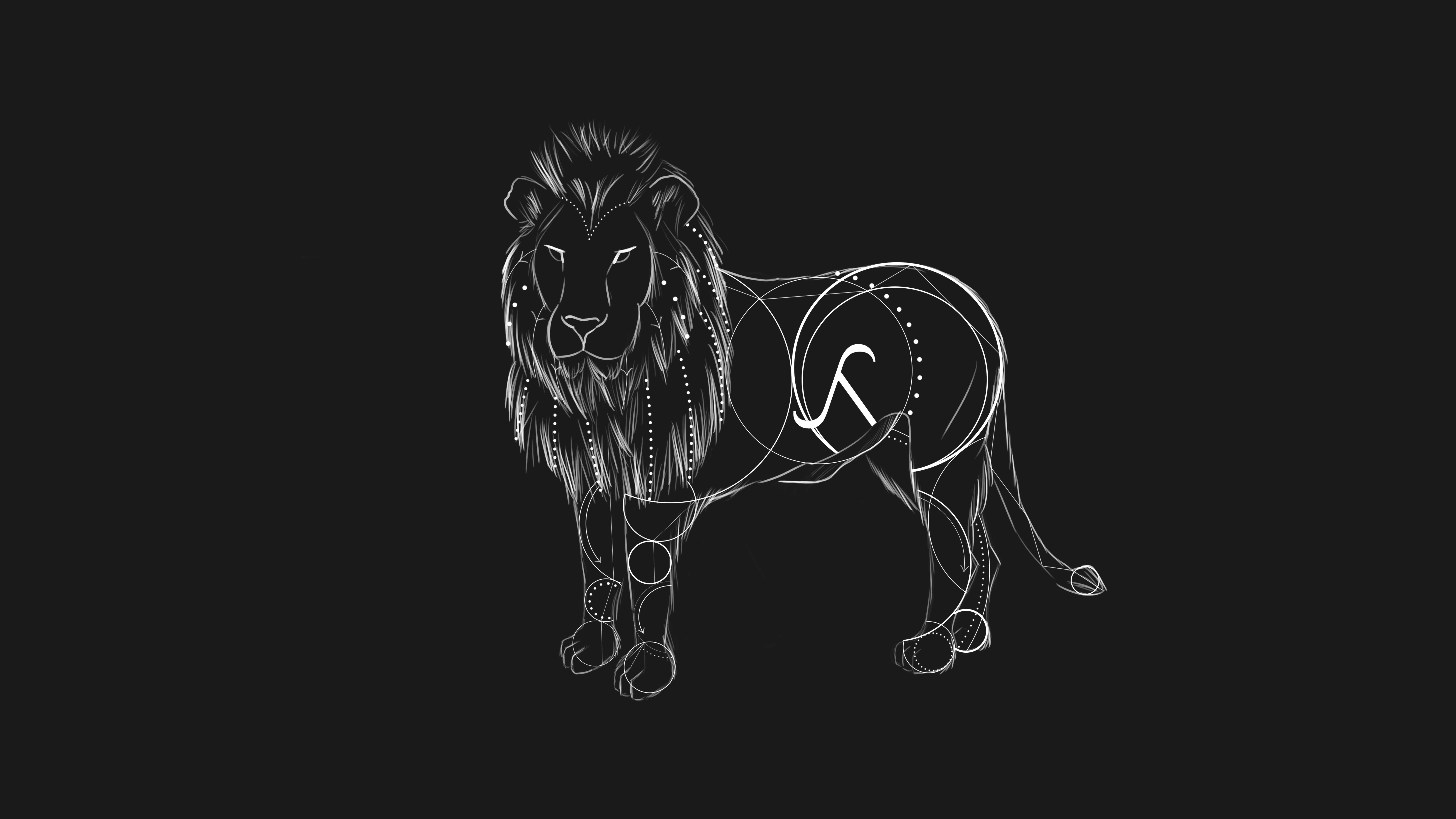 lion linear Wallpaper