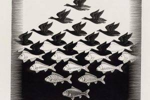 m  c  escher artwork optical illusion drawing monochrome animals birds fish illustration signatures