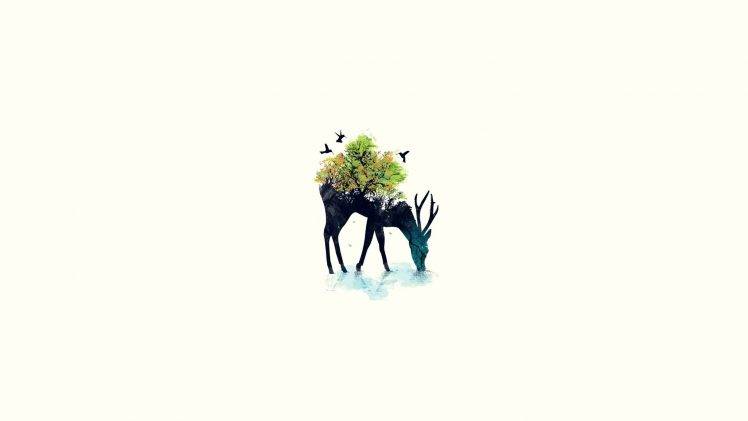 animals nature artwork deer HD Wallpaper Desktop Background