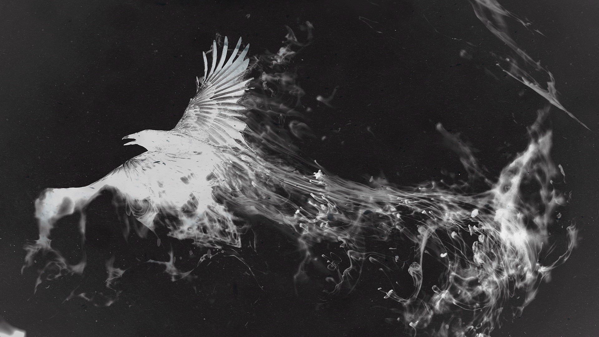 birds photo manipulation smoke monochrome Wallpaper