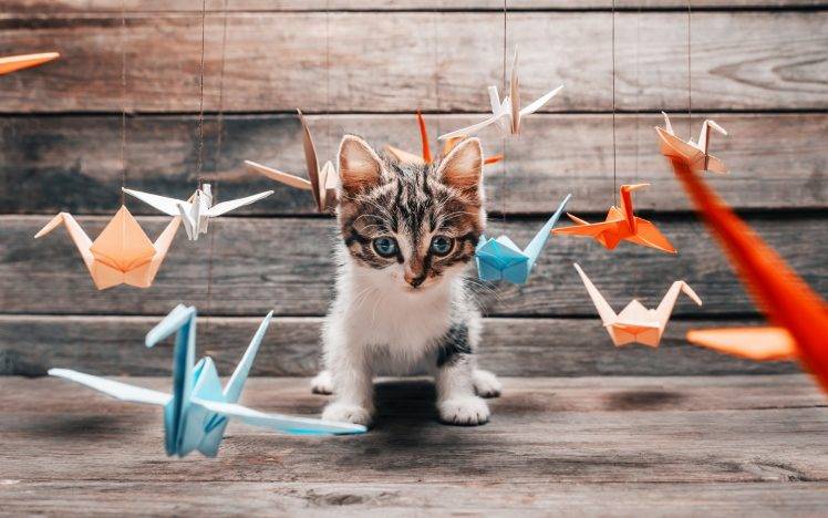 photography animals cat origami HD Wallpaper Desktop Background