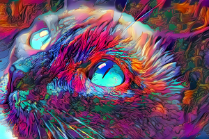 eyes cat artwork