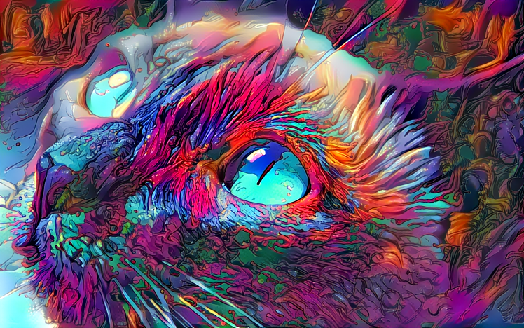 eyes cat artwork HD Wallpaper Desktop Background