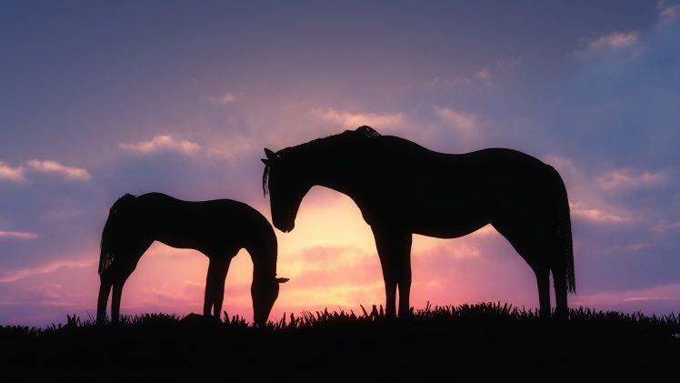 silhouette horse sunset cgi HD Wallpaper Desktop Background