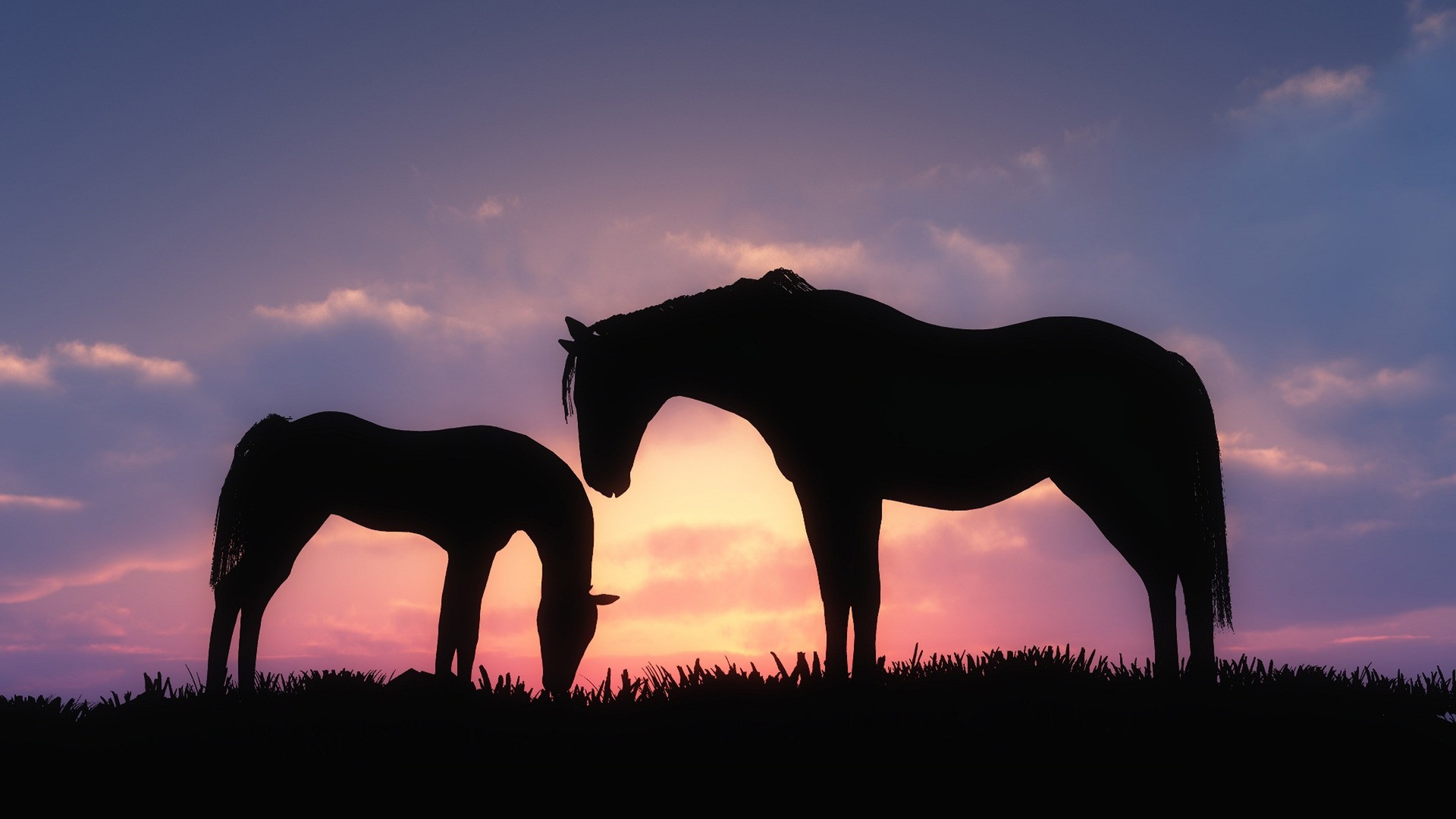 silhouette horse sunset cgi Wallpaper