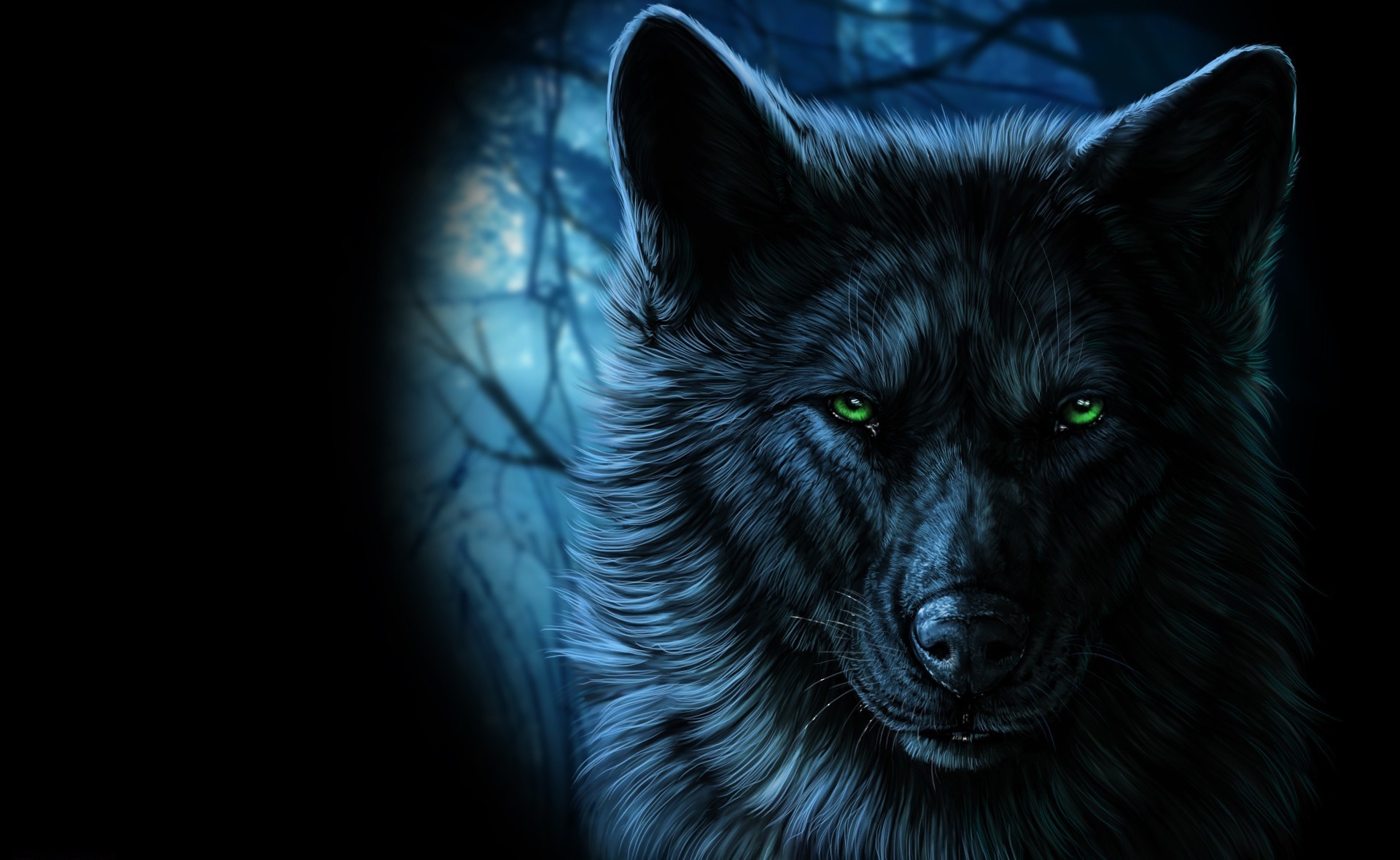 animals fantasy art wolf artwork Wallpaper