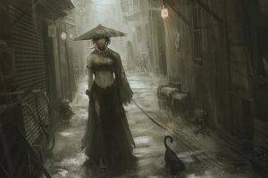 walking asian alleyway cat rain